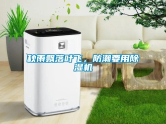 行業(yè)新聞秋雨飄落葉飛，防潮要用除濕機