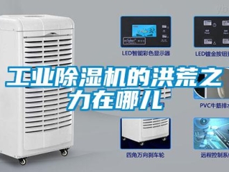 企業(yè)新聞工業(yè)除濕機的洪荒之力在哪兒