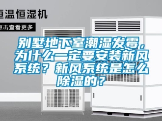 企業(yè)新聞別墅地下室潮濕發(fā)霉，為什么一定要安裝新風系統(tǒng)？新風系統(tǒng)是怎么除濕的？