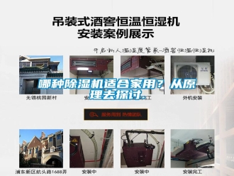 行業(yè)新聞哪種除濕機(jī)適合家用？從原理去探討.