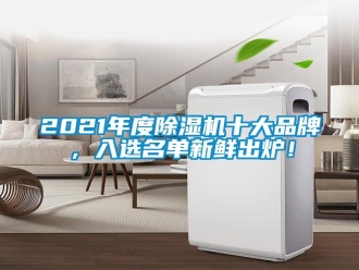 企業(yè)新聞2021年度除濕機十大品牌，入選名單新鮮出爐！