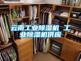 常見問題云南工業(yè)除濕機 工業(yè)除濕機供應(yīng)