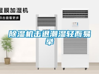 常見問題除濕機擊退潮濕輕而易舉