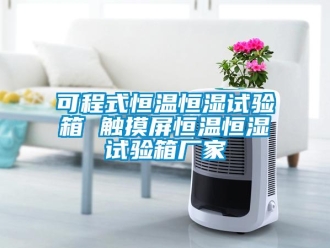 知識(shí)百科可程式恒溫恒濕試驗(yàn)箱 觸摸屏恒溫恒濕試驗(yàn)箱廠家