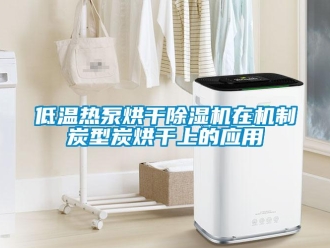 行業(yè)新聞低溫?zé)岜煤娓沙凉駲C(jī)在機(jī)制炭型炭烘干上的應(yīng)用