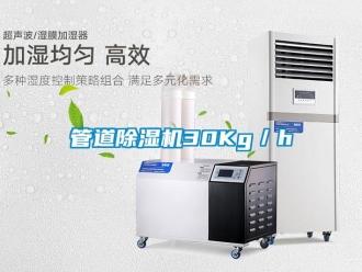 行業(yè)新聞管道除濕機30Kg／h
