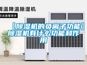 企業(yè)新聞【除濕機(jī)的負(fù)離子功能】除濕機(jī)有什么功能和作用