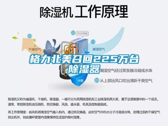 企業(yè)新聞格力北美召回225萬(wàn)臺(tái)除濕器