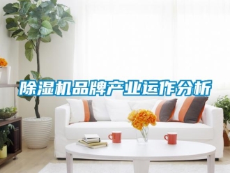 常見問題除濕機品牌產(chǎn)業(yè)運作分析