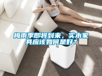 常見問題梅雨季即將到來，實木家具應該如何是好？