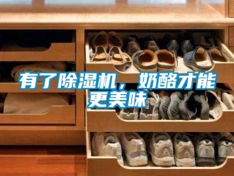 知識(shí)百科有了除濕機(jī)，奶酪才能更美味