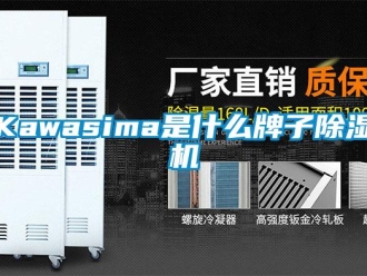 企業(yè)新聞Kawasima是什么牌子除濕機(jī)