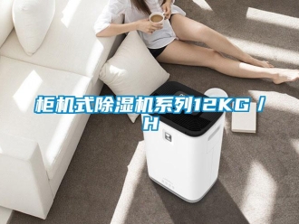 行業(yè)新聞柜機式除濕機系列12KG／H