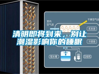 行業(yè)新聞清明即將到來，別讓潮濕影響你的睡眠