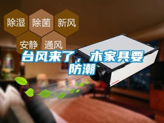 知識百科臺風(fēng)來了，木家具要防潮