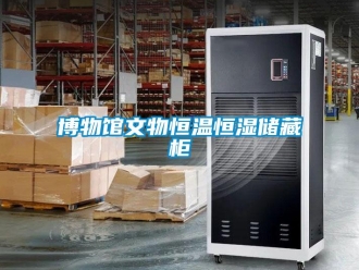 知識百科博物館文物恒溫恒濕儲藏柜