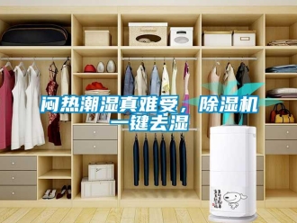 行業(yè)新聞悶熱潮濕真難受，除濕機(jī)一鍵去濕
