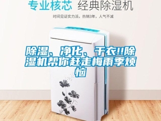 常見問題除濕、凈化、干衣!!除濕機幫你趕走梅雨季煩惱