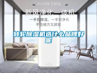 知識(shí)百科轉(zhuǎn)輪除濕機(jī)選什么品牌好呢