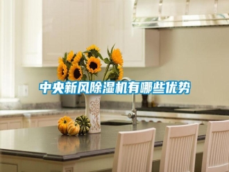 知識百科中央新風(fēng)除濕機(jī)有哪些優(yōu)勢