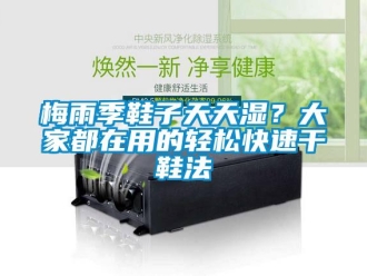 行業(yè)新聞梅雨季鞋子天天濕？大家都在用的輕松快速干鞋法