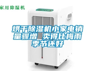 行業(yè)新聞烘干除濕機(jī)小家電銷量驟增 賣得比梅雨季節(jié)還好