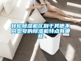 知識百科轉(zhuǎn)輪除濕機(jī)區(qū)別于其他不同型號的除濕機(jī)特點(diǎn)有哪些
