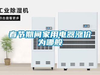 企業(yè)新聞春節(jié)期間家用電器漲價為哪般