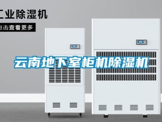 行業(yè)新聞云南地下室柜機(jī)除濕機(jī)