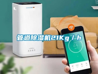 行業(yè)新聞管道除濕機21Kg／h
