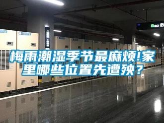 行業(yè)新聞梅雨潮濕季節(jié)最麻煩!家里哪些位置先遭殃？