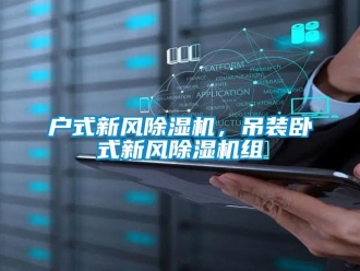 行業(yè)新聞戶式新風除濕機，吊裝臥式新風除濕機組