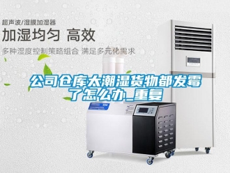 企業(yè)新聞公司倉庫太潮濕貨物都發(fā)霉了怎么辦_重復(fù)