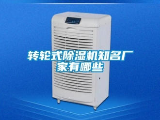 知識(shí)百科轉(zhuǎn)輪式除濕機(jī)知名廠家有哪些