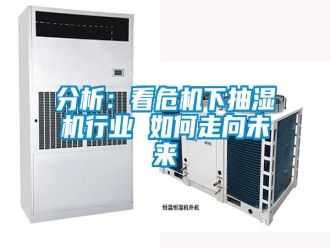 常見問題分析：看危機(jī)下抽濕機(jī)行業(yè) 如何走向未來(lái)