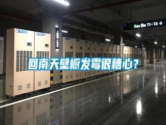 行業(yè)新聞回南天壁櫥發(fā)霉很糟心？
