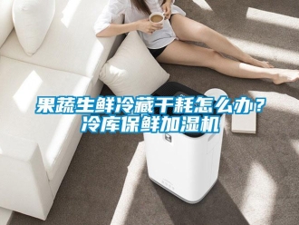 常見問題果蔬生鮮冷藏干耗怎么辦？冷庫保鮮加濕機(jī)