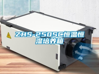 常見問題ZHS-250SC恒溫恒濕培養(yǎng)箱