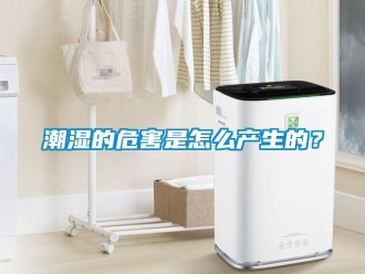 常見(jiàn)問(wèn)題潮濕的危害是怎么產(chǎn)生的？