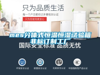 常見(jiàn)問(wèn)題mes分體式恒溫恒濕試驗(yàn)箱非標(biāo)訂制工廠