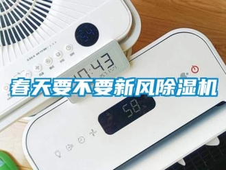 企業(yè)新聞春天要不要新風除濕機
