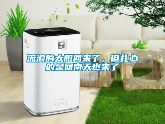 行業(yè)新聞流浪的太陽回來了，但扎心的是回南天也來了