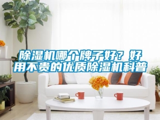 常見問題除濕機哪個牌子好？好用不貴的優(yōu)質(zhì)除濕機科普