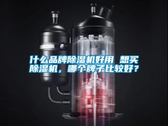 企業(yè)新聞什么品牌除濕機好用 想買除濕機，哪個牌子比較好？