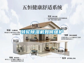 常見問題轉(zhuǎn)輪除濕機(jī)如何維護(hù)