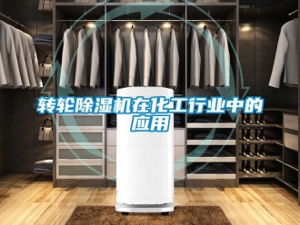 知識百科轉輪除濕機在化工行業(yè)中的應用