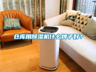 企業(yè)新聞倉(cāng)庫(kù)用除濕機(jī)什么牌子好？