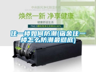 常見(jiàn)問(wèn)題住一樓如何防潮(宿舍住一樓怎么防潮最徹底)