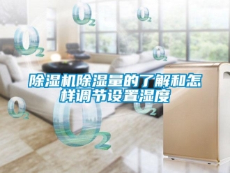 常見問題除濕機(jī)除濕量的了解和怎樣調(diào)節(jié)設(shè)置濕度