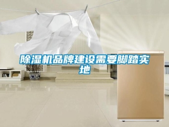 常見問題除濕機品牌建設(shè)需要腳踏實地